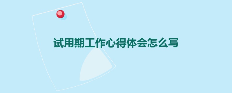 试用期工作心得体会怎么写