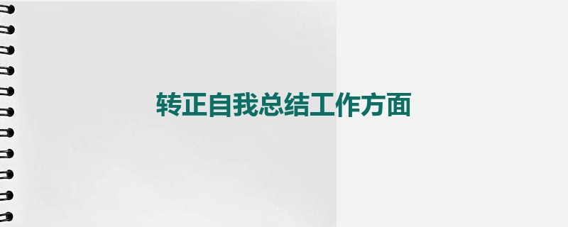 转正自我总结工作方面