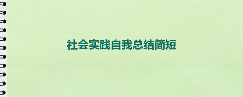 社会实践自我总结简短