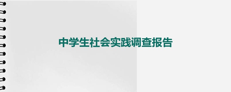 中学生社会实践调查报告