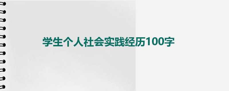 学生个人社会实践经历100字