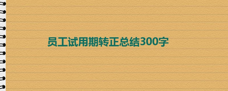 员工试用期转正总结300字