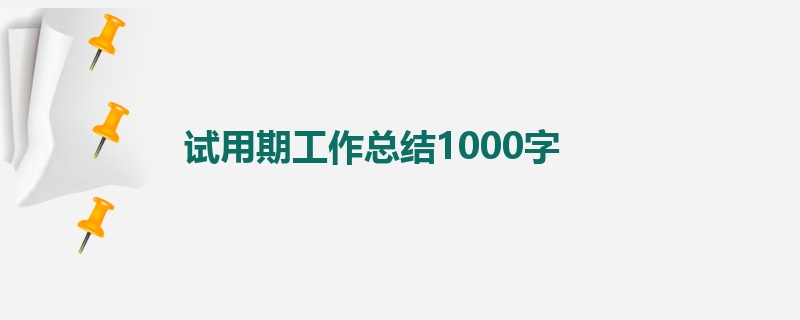 试用期工作总结1000字