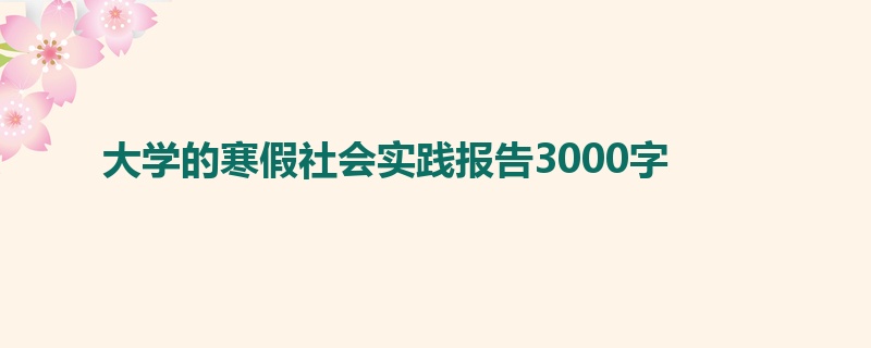 大学的寒假社会实践报告3000字 