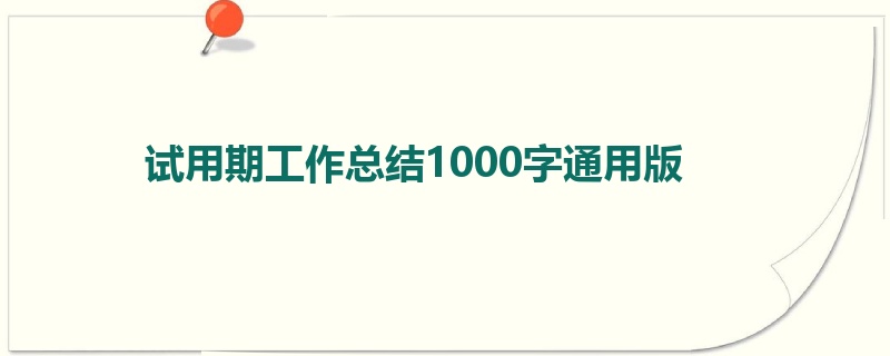 试用期工作总结1000字通用版