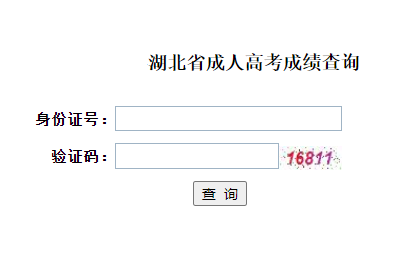 湖北省成人高考成绩查询