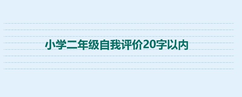 小学二年级自我评价20字以内