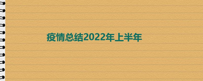 疫情总结2022年上半年