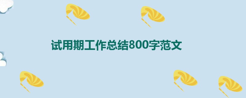 试用期工作总结800字范文