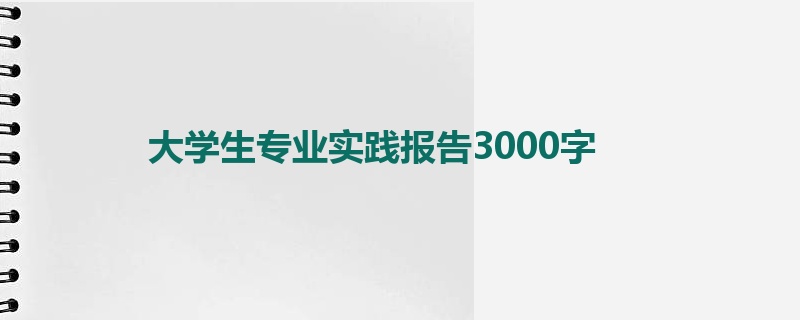 大学生专业实践报告3000字