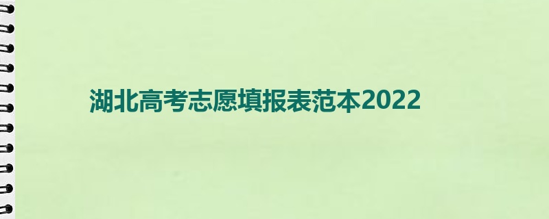 湖北高考志愿填报表范本2022