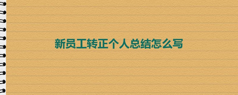 新员工转正个人总结怎么写