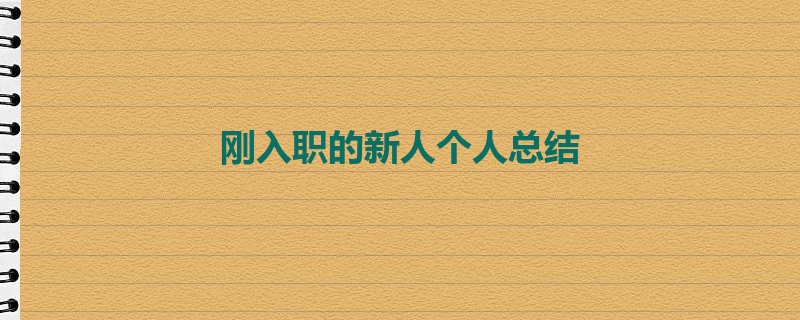 刚入职的新人个人总结