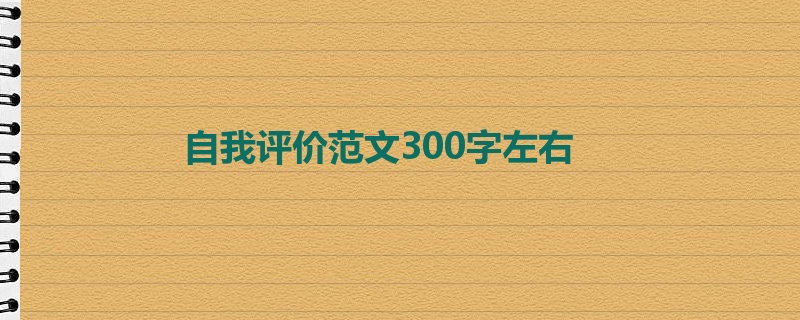 自我评价范文300字左右