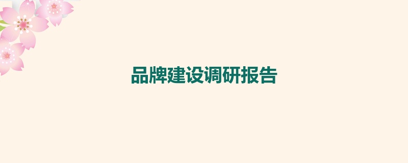 品牌建设调研报告