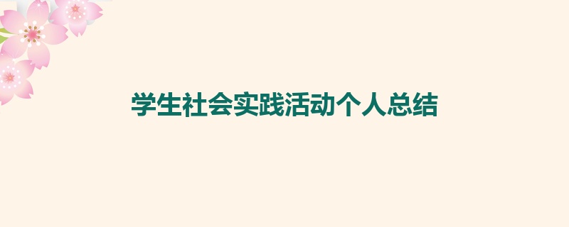 学生社会实践活动个人总结