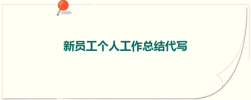 新员工个人工作总结代写