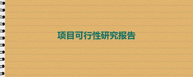 项目可行性研究报告