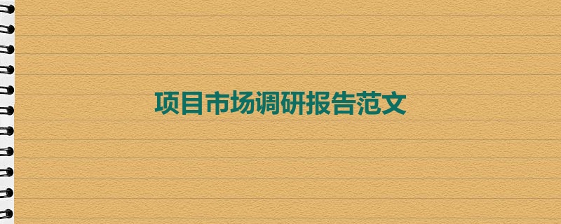 项目市场调研报告范文