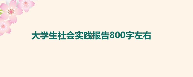 大学生社会实践报告800字左右