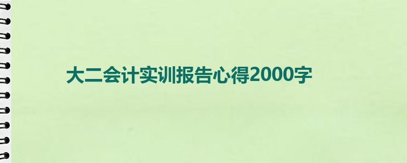 大二会计实训报告心得2000字