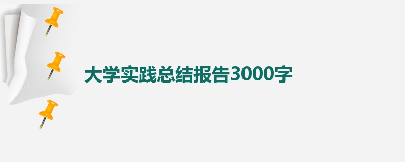 大学实践总结报告3000字