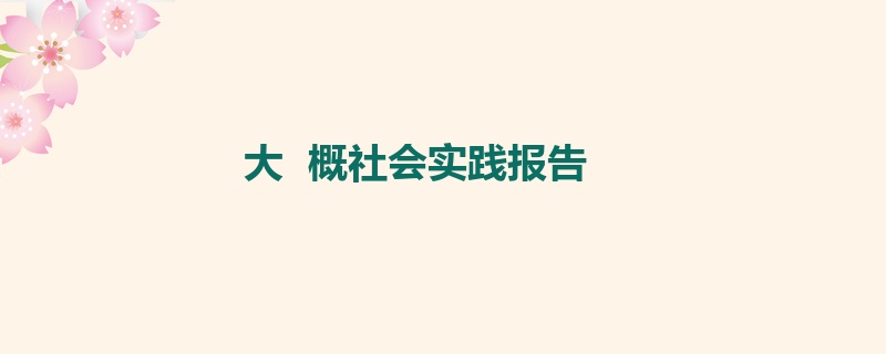 大  概社会实践报告