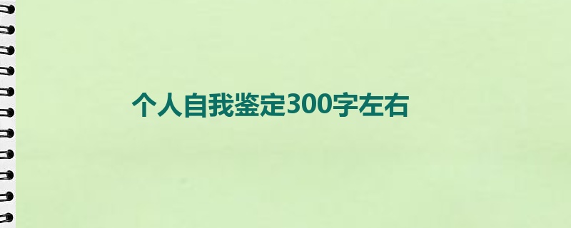 个人自我鉴定300字左右