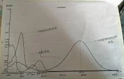 大学实验报告高分策略