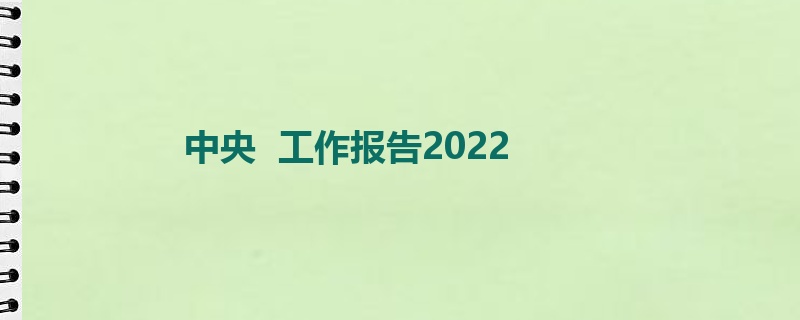 中央  工作报告2022