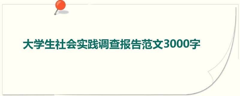 大学生社会实践调查报告范文3000字