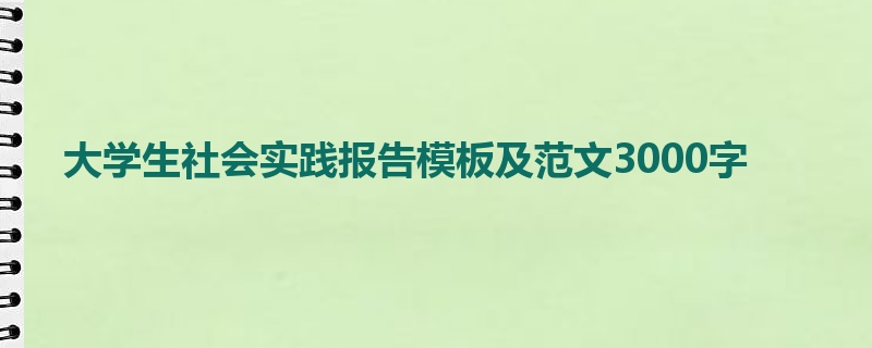 大学生社会实践报告模板及范文3000字